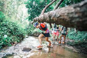 BIB: 
                            <button type="button" onclick="openModal(25372858)" class="btn btn-primary btn-sm float-right btn-popup" data-toggle="modal" data-target=".modal-high-quality">
                        <i class="fas fa-shopping-cart"></i> Add to Cart
                    </button>
                                            <button type="button" onclick="isThisMe(25372858, true)" class="btn btn-success btn-sm float-right btn-popup btn-isme hidden" data-toggle="tooltip" data-placement="bottom" title="นี่คือรูปของคุณใช่ไหม คลิกที่นี่เพื่อเอาเข้าอัลบั้ม">
                        <i class="fas fa-plus"></i> Add to album
                    </button>
                    <button type="button" onclick="isThisMe(25372858, false)" class="btn btn-warning btn-sm float-right btn-popup btn-isnotme hidden">
                        <i class="fas fa-ban"></i> Remove from album
                    </button>